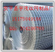鍍鋅電焊網(wǎng)、黑絲布、鐵絲布