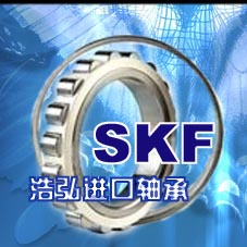 杭州進(jìn)口軸承型號(hào)大全浩弘軸承經(jīng)銷部SKF-NSK進(jìn)口軸承批發(fā)庫(kù)存
