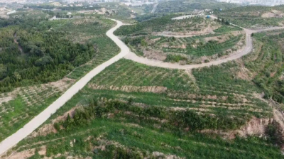 獲6億獎(jiǎng)補(bǔ)資金！河南兩項(xiàng)目入選2025年生態(tài)修復(fù)示范工程