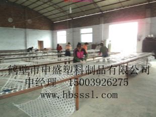 礦用護(hù)頂網(wǎng)、礦用抗靜電阻燃網(wǎng)