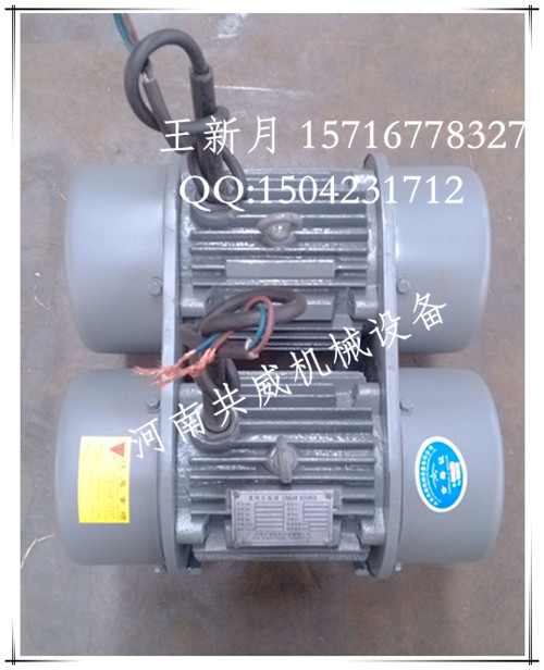 河南共威WHZY系列/WLZD系列連體振動(dòng)電機(jī)/			 