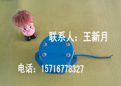 共威機(jī)械設(shè)備CZ250電磁振動器價(jià)格XKZ-5G2			 