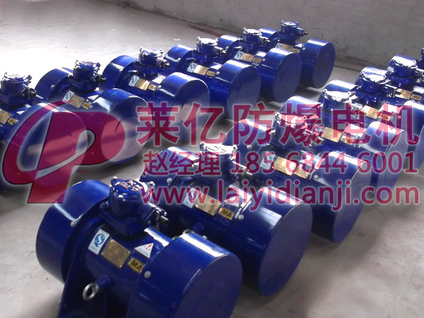 粉塵防爆電機(jī)