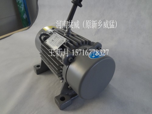 共威/原新鄉(xiāng)威猛YZO-30-4振動電機詳細參數(shù)			 