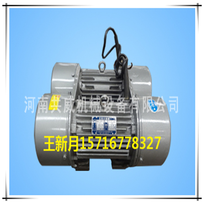 			 熱銷產(chǎn)品，現(xiàn)貨供應(yīng)WLZD-2*12-6振動電機			 