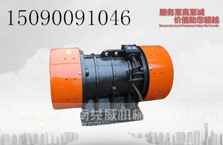 廠家專業(yè)供應(yīng)優(yōu)質(zhì)YZO振動電機