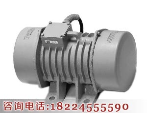 振動電機(jī)