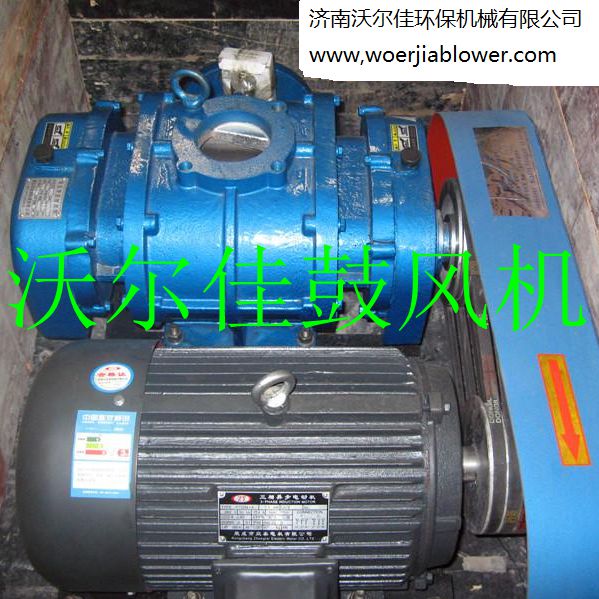 直聯(lián)SR300羅茨鼓風(fēng)機(jī)/污水處理、三葉羅茨鼓風(fēng)機(jī)