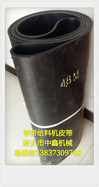 甲帶給料機(jī)環(huán)形甲帶 