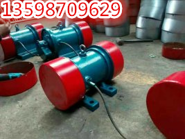 旋振篩激振源YZUL立式振動電機(jī)YZOYZS礦用振動篩電機(jī)