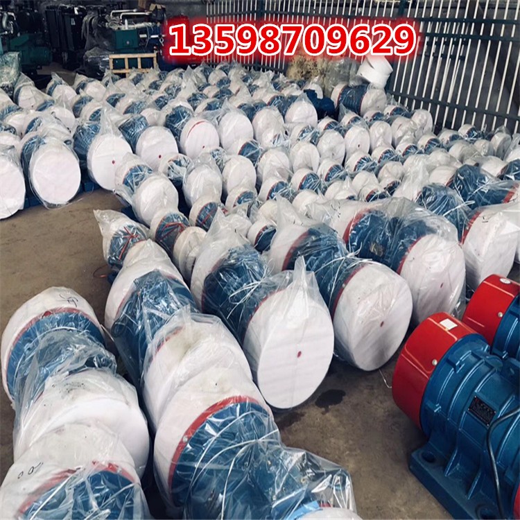 礦用振動(dòng)篩雙軸激振器高頻震動(dòng)篩雙偏心軸激振器