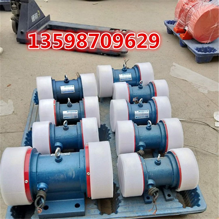 專業(yè)雙軸激振力強(qiáng)振動(dòng)器礦用高頻振動(dòng)篩雙偏心軸激振器