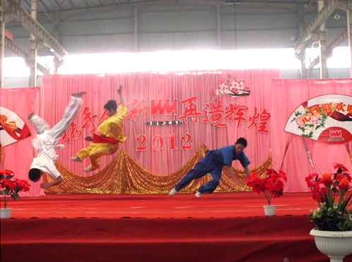 一等獎(jiǎng) 威猛振源部 武術(shù)《武林風(fēng)》