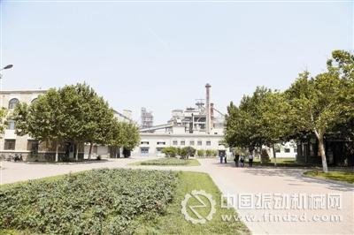 公司廠區(qū)如同花園一般,沒有傳統(tǒng)水泥廠塵土飛揚的景象。