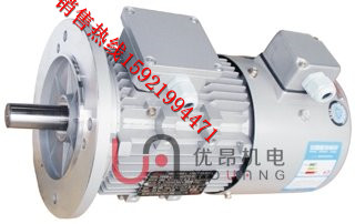 YVF鋁殼變頻調(diào)速電機(jī)2.jpg