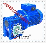帶輸出軸的RV減速機(jī).jpg