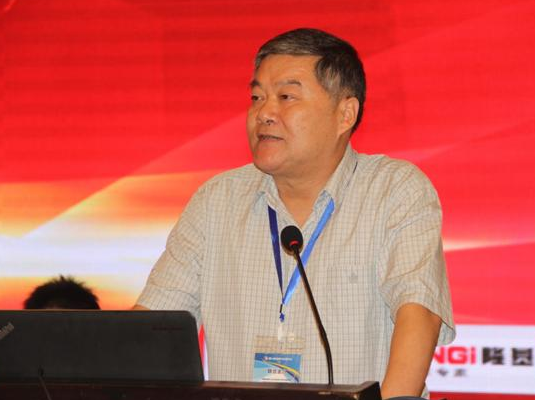 中國冶金礦山企業(yè)協(xié)會項宏海常務(wù)副會長致辭