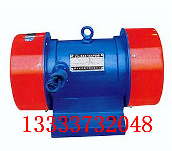 振動(dòng)電機(jī)4_副本.jpg