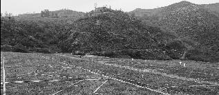 露天礦山通過綜合整治將實(shí)現(xiàn)礦山復(fù)綠、礦山復(fù)耕