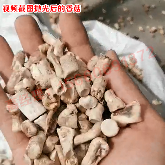 拋光后的香菇.jpg