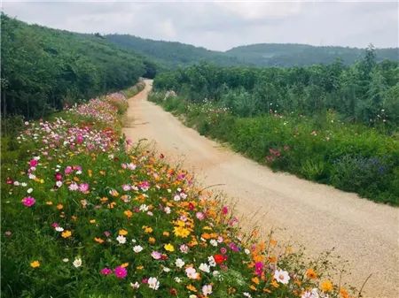 礦山生態(tài)修復(fù)后開采邊坡平臺間道路情況