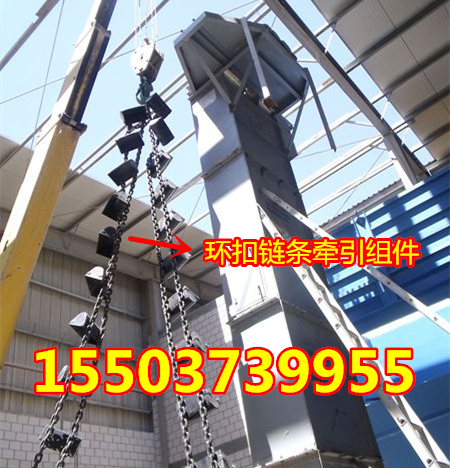 TH型環(huán)鏈提升機(jī)