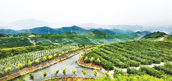 承德京城礦業(yè)集團有限公司綠化后的排土場
