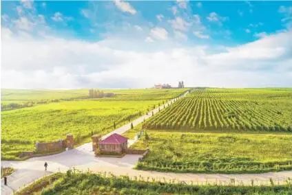 山東省萊西市院上鎮(zhèn)廢棄礦山治理后建成的九頂莊園,綠色滿山坡。
