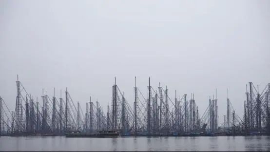 整治前駱馬湖區(qū)采砂大泵船只集中停靠的情景